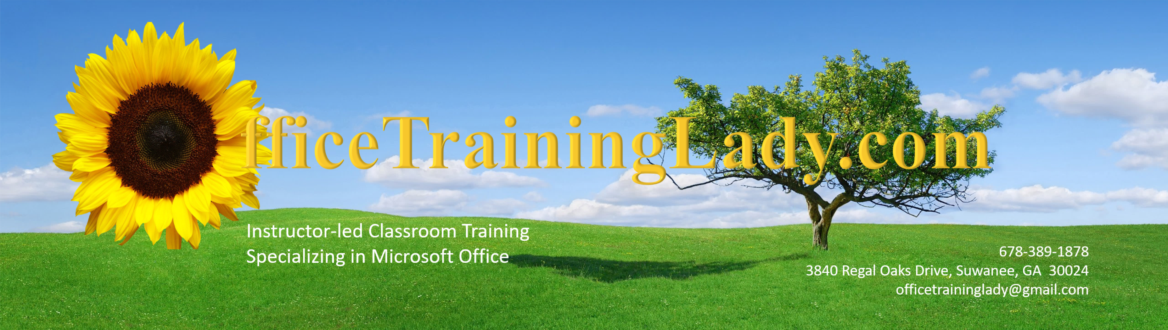Microsoft Office Instructor-led Training and Support